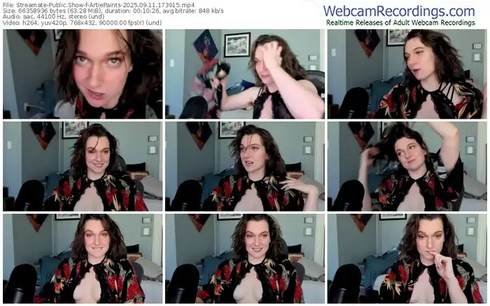 2025/09/11/streamate-artiepaints-17-39-15