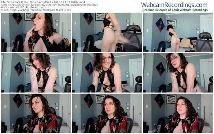 2025/09/11/streamate-artiepaints-19-01-04