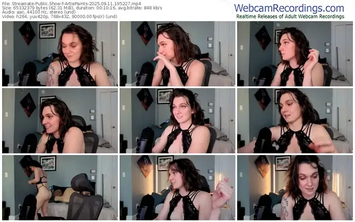 2025/09/11/streamate-artiepaints-19-52-27