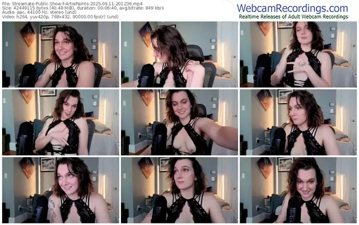 2025/09/11/streamate-artiepaints-20-12-36
