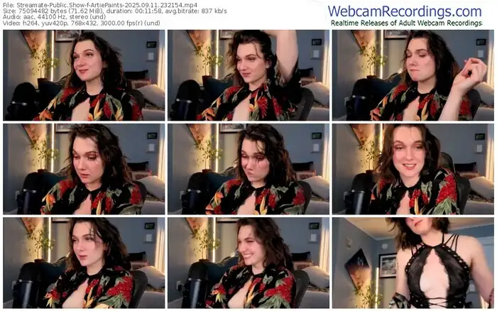 2025/09/11/streamate-artiepaints-23-21-54
