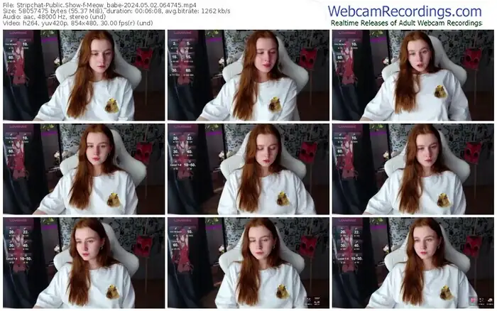 2024/05/02/stripchat-meow_babe-06-47-45