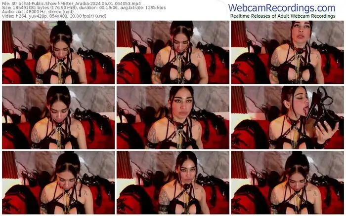 2024/05/01/stripchat-mister_aradia-06-40-53