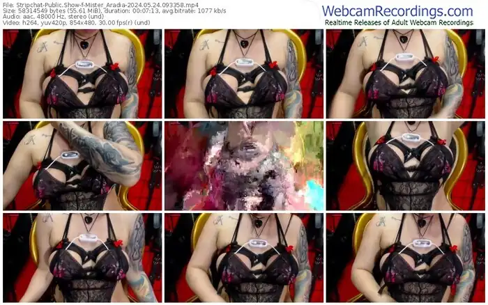 2024/05/24/stripchat-mister_aradia-09-33-58