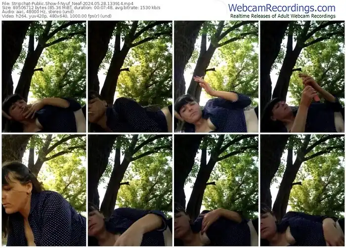 2024/05/28/stripchat-nyuf_neaf-13-39-14