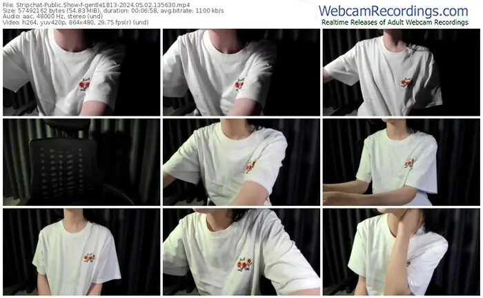 2024/05/02/stripchat-gentle1813-13-56-30