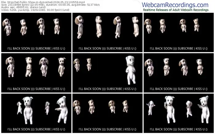 2024/05/23/stripchat-dymonted-10-05-59