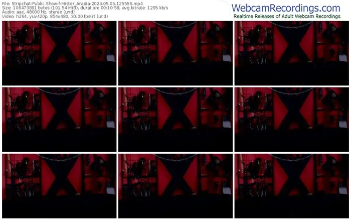 2024/05/05/stripchat-mister_aradia-12-55-56