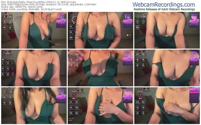 2024/11/11/stripchat-lushritu-00-31-22