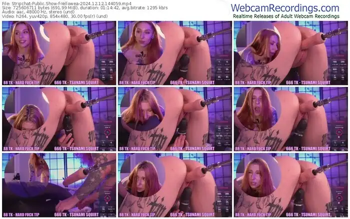 2024/12/12/stripchat-yellowea-14-40-59