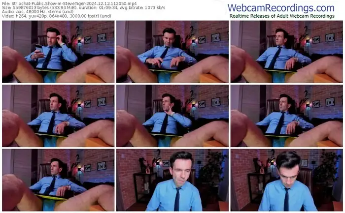 2024/12/12/stripchat-stevetiger-11-20-50