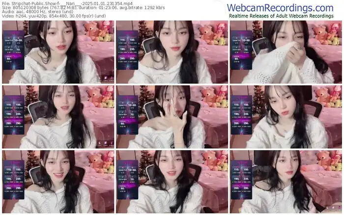 2025/01/01/stripchat-___nari___-23-13-54