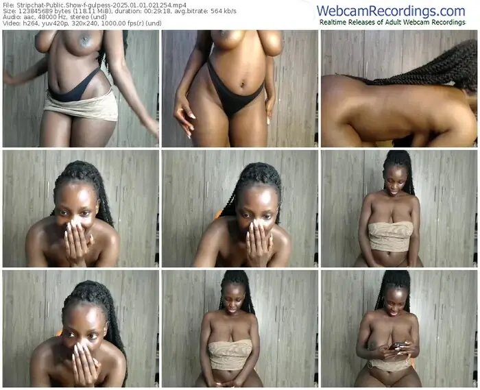 2025/01/01/stripchat-gulpess-02-12-54