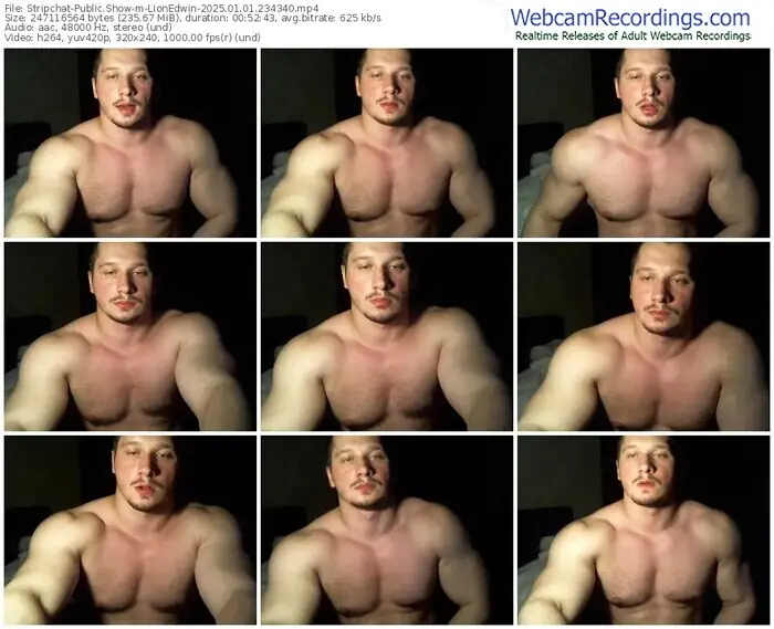 2025/01/01/stripchat-lionedwin-23-43-40