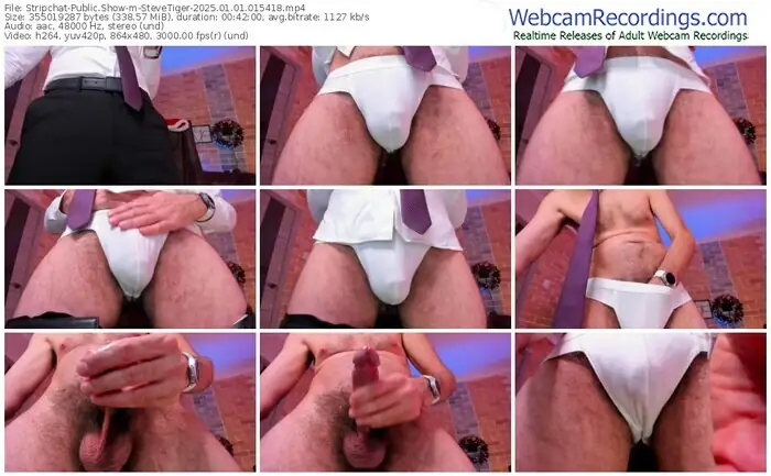 2025/01/01/stripchat-stevetiger-01-54-18