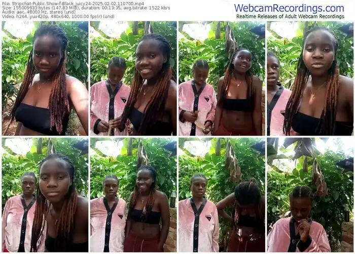 2025/02/02/stripchat-black_juicy24-11-07-00