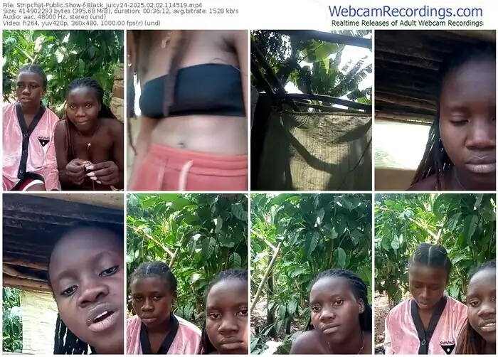 2025/02/02/stripchat-black_juicy24-11-45-19