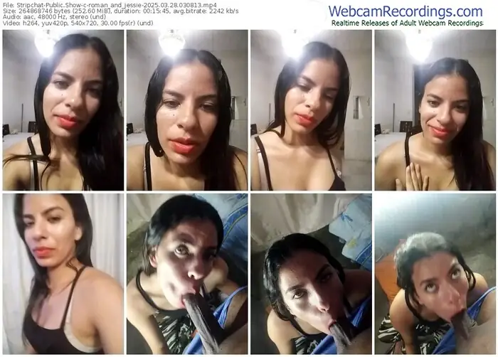 2025/03/28/stripchat-roman_and_jessie-03-08-13
