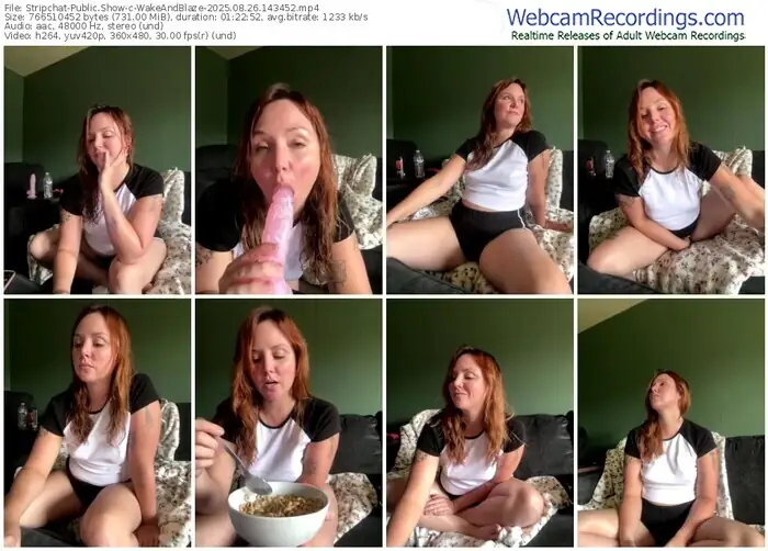 2025/08/26/stripchat-wakeandblaze-14-34-52