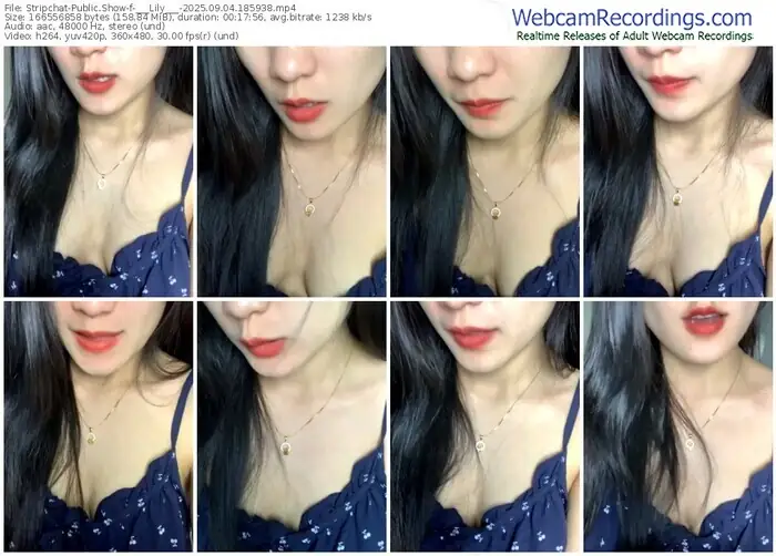 2025/09/04/stripchat-___lily___-18-59-38