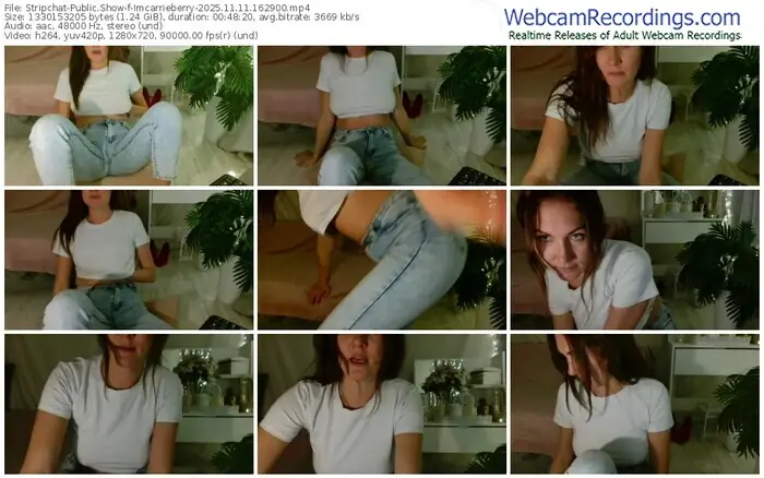 2025/11/11/stripchat-imcarrieberry-16-29-00