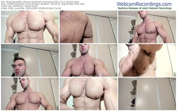 2025/12/12/stripchat-bretman_narcissus-14-10-14